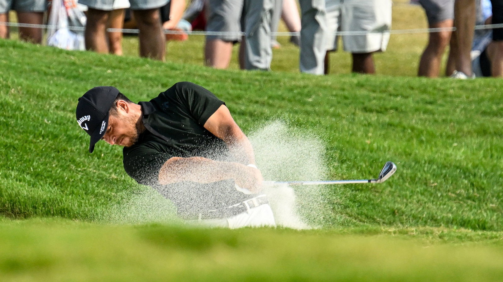 Xander Schauffele